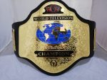 WCW World Television Championship Wrestling Belt Replica
