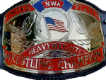 NWA United States Heavyweight Wrestling Champion Belt Replica - Image 2