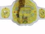 IWGP Intercontinental Wrestling Championship Belt Replica 2