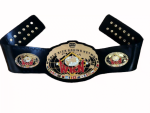 World Kick Boxing Belt Replica - Image 2