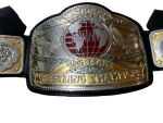 NWA Tag Team Championship Belt Replica - Image 2
