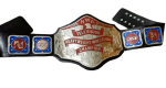 NWA Television Heavyweight Wrestling Champion Belt Zinc Plates Replica BUY - Image 6