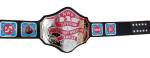 NWA Television Heavyweight Wrestling Champion Belt Zinc Plates Replica BUY - Image 4