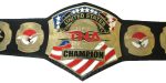 TNA United States Heavyweigt Wrestling Championship Belt Replica - Image 2