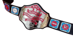 NWA Television Heavyweight Wrestling Champion Belt Zinc Plates Replica BUY - Image 3