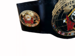World Kick Boxing Belt Replica - Image 5