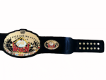 World Kick Boxing Belt Replica - Image 3