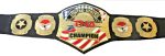 TNA United States Heavyweigt Wrestling Championship Belt Replica - Image 3