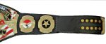 TNA United States Heavyweigt Wrestling Championship Belt Replica - Image 5