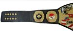 TNA United States Heavyweigt Wrestling Championship Belt Replica - Image 6