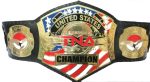 TNA United States Heavyweigt Wrestling Championship Belt Replica