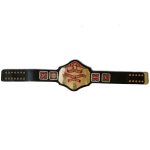 NWA Television Heavyweight Wrestling Champion Belt Zinc Plates Replica BUY - Image 7
