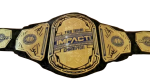 TNA Tag Team Impact Championship Belt Replica