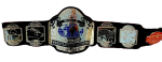 NWA World Tag Team Wrestling Champion Belt Zinc Plates Replica - Image 4