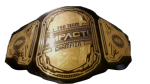TNA Tag Team Impact Championship Belt Replica - Image 2