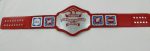 NWA Television Heavyweight Wrestling Championship Belt Replica - Image 2