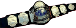 NWA World Tag Team Wrestling Champion Belt Zinc Plates Replica - Image 3