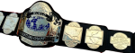 NWA World Tag Team Wrestling Champion Belt Zinc Plates Replica - Image 6