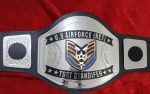 Custom Name and US Air Force Logo Wrestling Championship Belt - Image 2