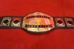 Custom Name and Deer Logo Wrestling Championship Belt - Image 4