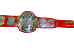 ECW World Heavyweight Wrestling Championship Belt Replica - Image 3