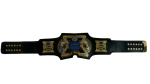 TNA X Division Wrestling Championship Belt Replica - Image 2