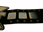 NXT Wrestling Championship Belt Replica - Image 4