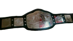 NWA United States Heavyweight Wrestling Champion Belt Zinc Plates Replica - Image 3