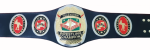 NWA Television Heavyweight Wrestling Championship Title Belt Replica - Image 2