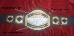 Custom Name and Top Gun Logo For Firm Wrestling Championship Belt