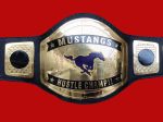 Blue Racing Horse Logo Wrestling Championship Belt - Image 2