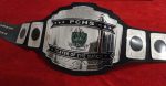 Custom Name and Wild Cat Nails Logo Wrestling Championship Belt - Image 2