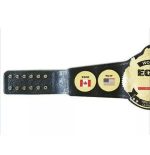 ECW World Television Wrestling Championship Belt Replica - Image 4