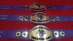 Custom Name and Wolf Logo Wrestling Championship Belt - Image 4