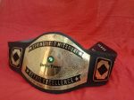 Custom Name and Drive Time Logo Wrestling Championship Belt - Image 5