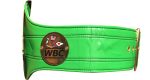 Euracia Pacific Boxing Council Belt Replica - Image 5