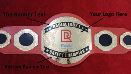 Custom Name and Radial A bpost Company Logo Wrestling Championship Belt