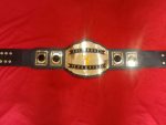 Custom Name and Deer Logo Wrestling Championship Belt - Image 2