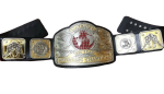NWA Tag Team Championship Belt Replica - Image 4