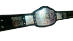 NWA United States Heavyweight Wrestling Champion Belt Zinc Plates Replica - Image 5