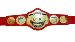 NWA US Tag Team Wrestling Chamionship Belt Adult Size Replica - Image 3