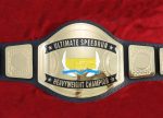 Custom Name and Logo Wrestling Championship Belt Adult Size - Image 8