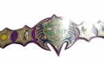 TNA Jeff Hardy Immortal Heavyweight Championship Belt Replica - Image 3