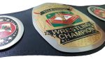 NWA Television Heavyweight Wrestling Championship Title Belt Replica - Image 3