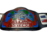Georgia World TV Champion Wrestling Championship Belt - Image 4