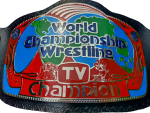 Georgia World TV Champion Wrestling Championship Belt - Image 5