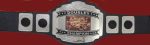 Custom Name and Friend Group Photo Logo Wrestling Championship Belt - Image 2
