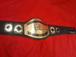 Custom Name and Drive Time Logo Wrestling Championship Belt - Image 4