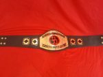 Custom Name and Double D Logo Wrestling Championship Belt - Image 2