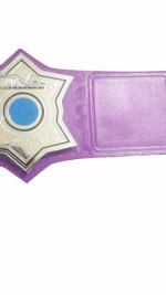 TNA Jeff Hardy Immortal Heavyweight Championship Belt Replica - Image 9